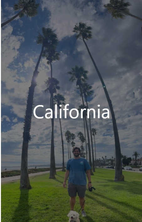 California Travel guide
