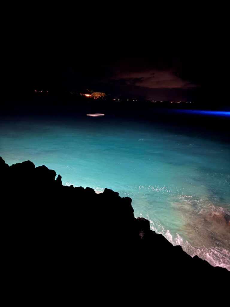Best stays in kona mauna kea manta ray viewing