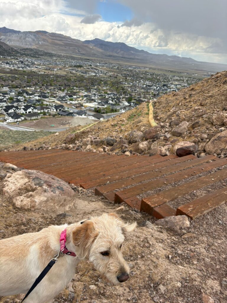 The stairs  hike ,Herriman UT, 