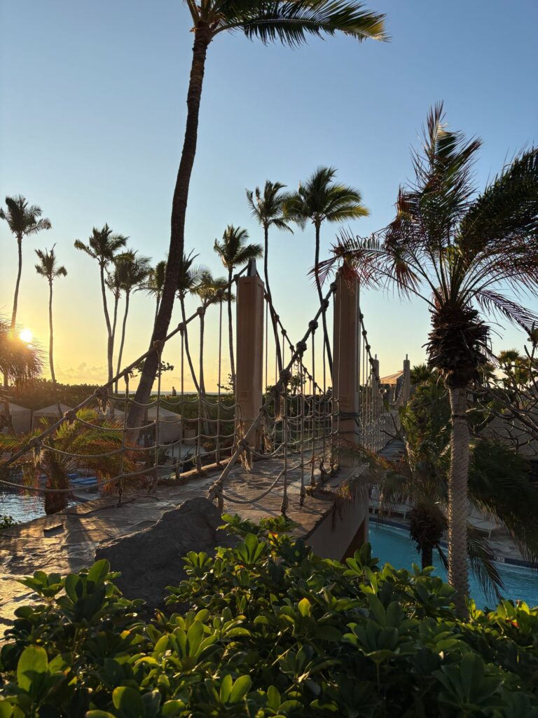 Best stays waikiola village rope bridge