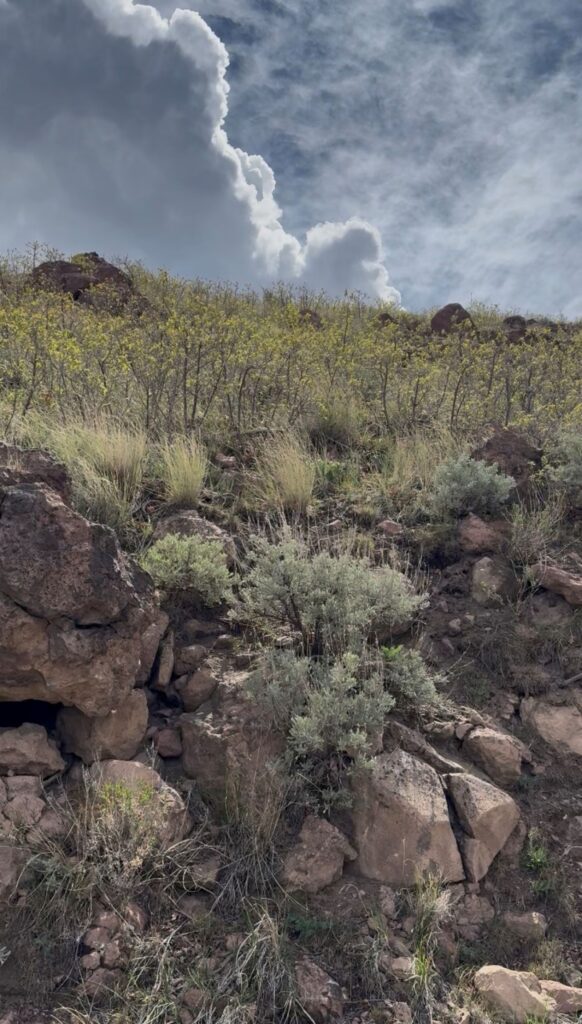 The stairs  hike ,Herriman UT, 