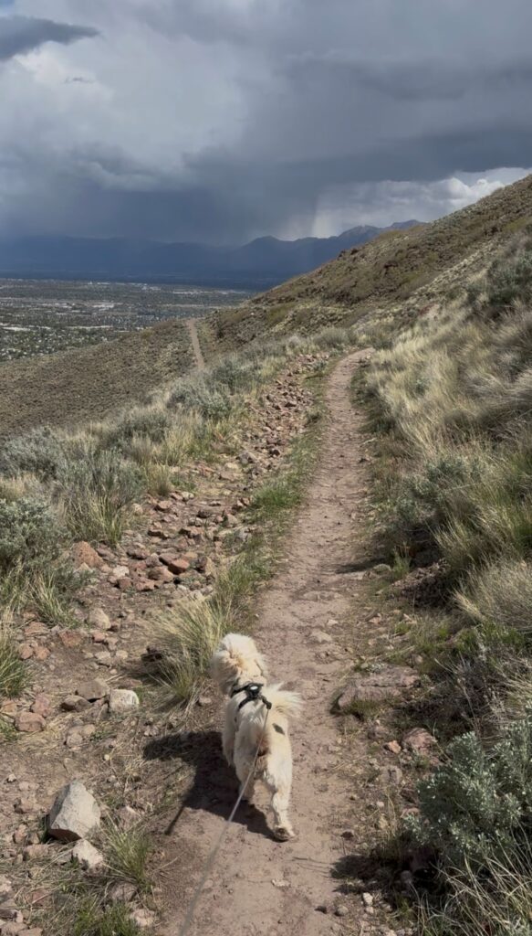The stairs  hike ,Herriman UT, 