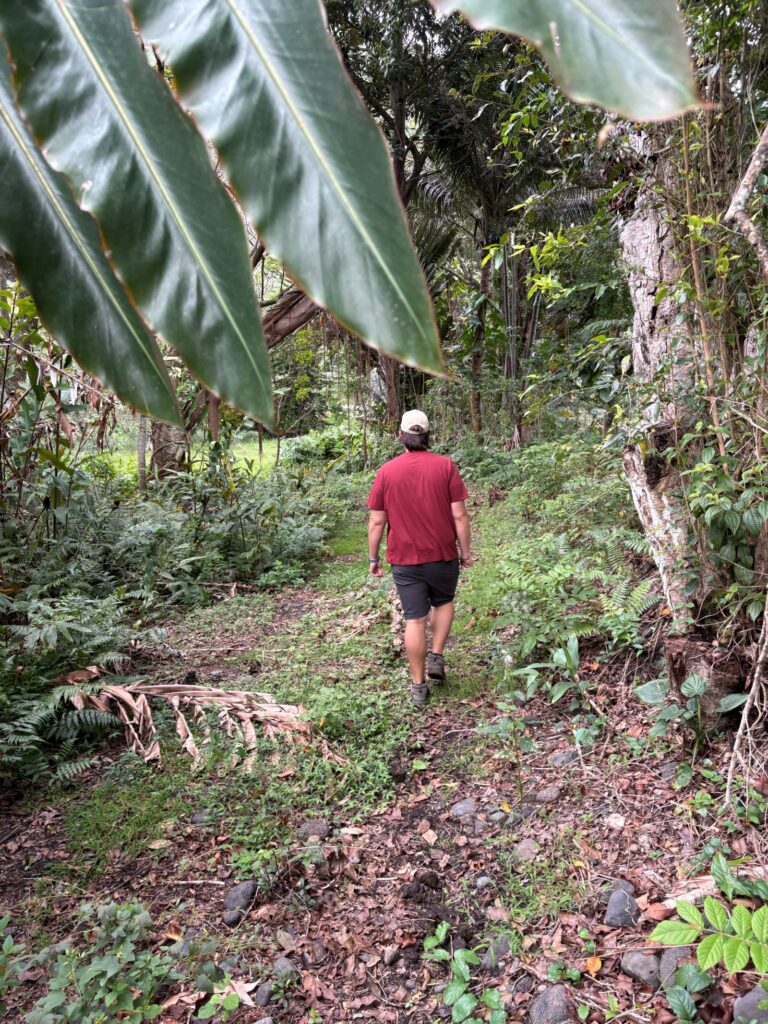 waipio valley man walking through jungle