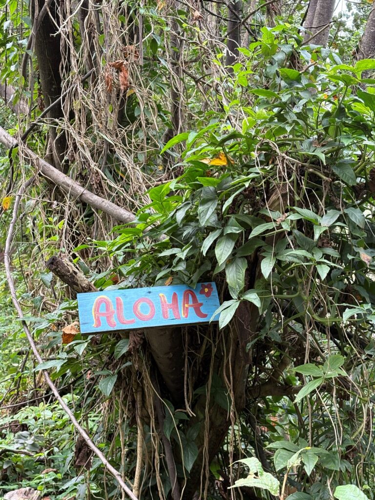 waipio valley aloha sign in jungle