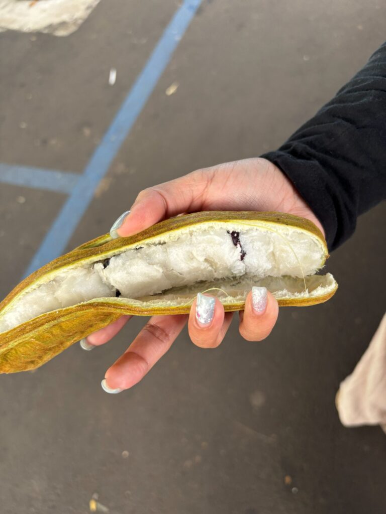 Ice Cream Bean Fruit