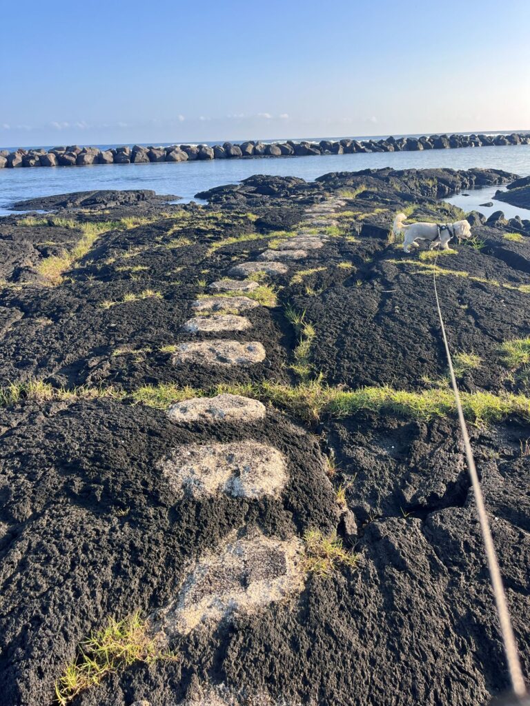 Hilo Onekahaka beach park